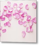 Pink Rose Petals #1 Metal Print