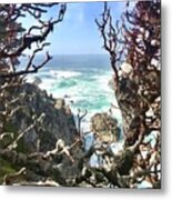 Point Lobos #1 Metal Print