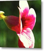 Red Flower #1 Metal Print