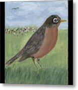 Robin Metal Print