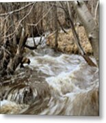 Runoff #1 Metal Print