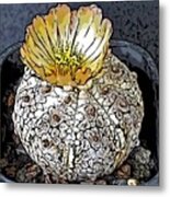Sb Cactus Flower 0004d10 #1 Metal Print