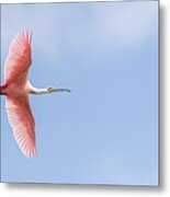 Sky Is The Limit #2 Metal Print