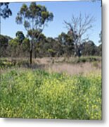 Spring Flowers #1 Metal Print