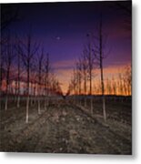 Starlight #1 Metal Print