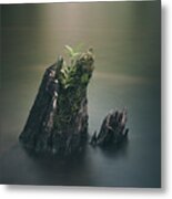 Stumped #1 Metal Print