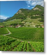 Terraced Vineyards Switzerland #1 Metal Print
