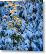 Tree Of Light #1 Metal Print