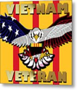 Vietnam Veteran #1 Metal Print
