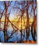 Twisted Trees On Lake At Sunset Metal Print