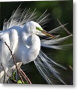 Windy Day #2 Metal Print