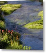 Yellowstone Patterns Series #1 Metal Print