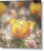 1625 Watercolor Cactus Blossom Metal Print