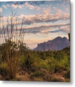 A Beautiful Desert Evening  #2 Metal Print