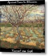 Apricot Trees In Blossom - Vvg Metal Print