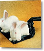 Dust Bunnies... #2 Metal Print