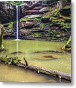 Waterlogged Metal Print