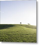 Grassland Sky And Grass Background In A Park #2 Metal Print