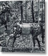 Horse #2 Metal Print