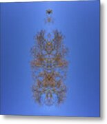 Kaleidoscopic Image Of Winter Tree Branches #2 Metal Print