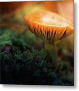 Mushroom #2 Metal Print