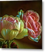 2 Pink Roses #j0 Metal Print