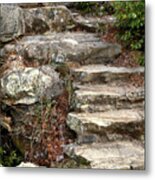 Steps Into The Forest Metal Print