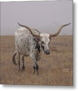 Texas Longhorn Cow Print #3 Metal Print