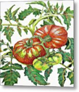 2 Tomatoes 2 B Metal Print