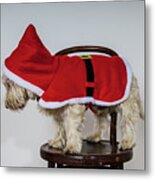 White Terrier Dog Dressed Wearing Santa Suit #2 Metal Print
