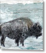 Winter Buffalo #2 Metal Print