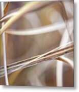 Winter Grasses #2 Metal Print