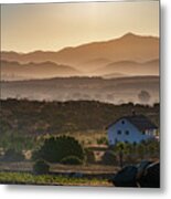 Mexico Wine Country - Valle De Guadalupe #23 Metal Print