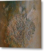 Imprint #3 Metal Print