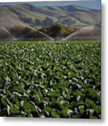 San Luis Obispo #3 Metal Print