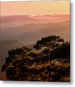 Silhouette Of A Forest Pine Tree During Blue Hour With Bright Sun At Sunset. Metal Print