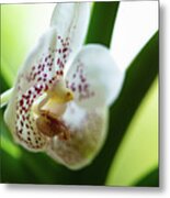 Spotted Orchid Flower #3 Metal Print