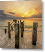 3251 Metal Print