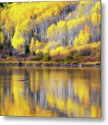 Fall Colors, Colorado #6 Metal Print