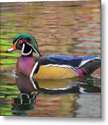 Woodie #4 Metal Print