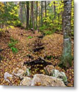 Appalachian Autumn Metal Print