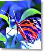 Flower Collection #5 Metal Print