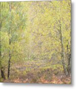 Autumn With Bilberries, Bracken And Silver Birch Trees #6 Metal Print