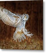 Great Horned Owl #6 Metal Print