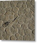 The Racetrack Playa #6 Metal Print