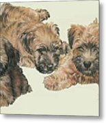 Soft-coated Wheaten Terrier Puppies Metal Print