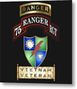 75 Ranger Rgt Vietnam Metal Print