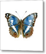 78 Apatura Iris Butterfly Metal Print