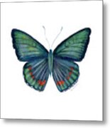 82 Bellona Butterfly Metal Print