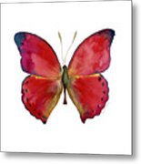 83 Red Glider Butterfly Metal Print